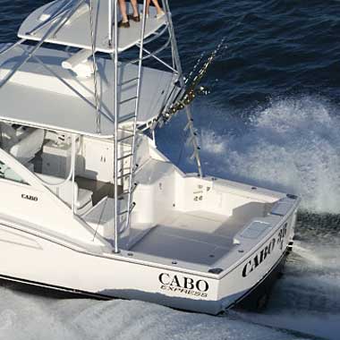 Cabo Yachts